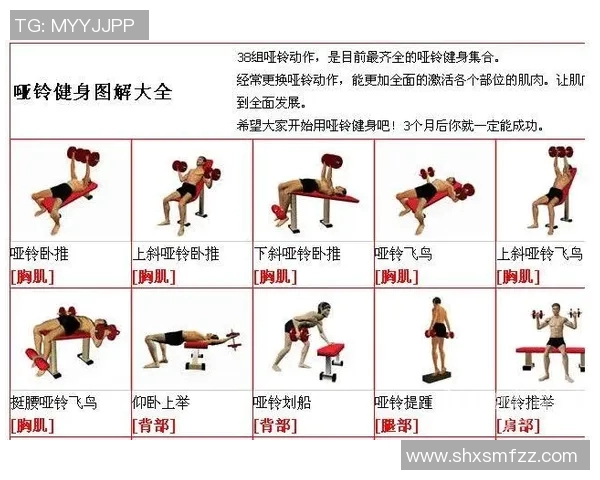 用哑铃锻炼肌肉的有效方法与技巧分享，助你塑造完美身材